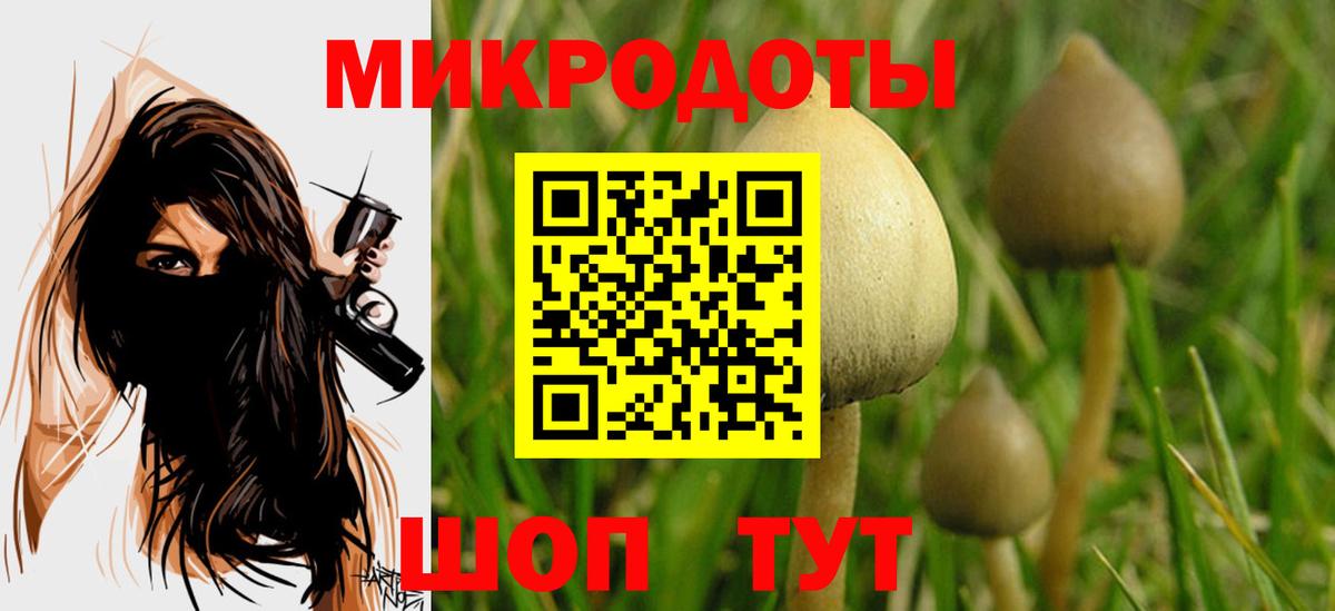 Псилоцибиновые грибы Psilocybe  Вход с VPN  Галлюциногенные грибы мицелий  Усолье-Сибирское 